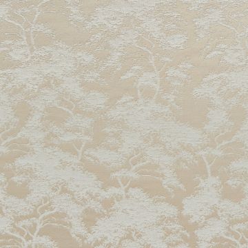 Etamine - Collioure - 19571/882