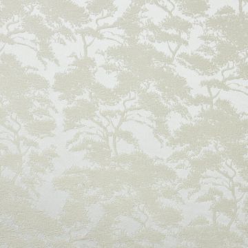 Etamine - Collioure - 19571/980