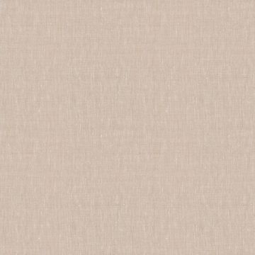 Etamine - Ramatuelle - 19611/995