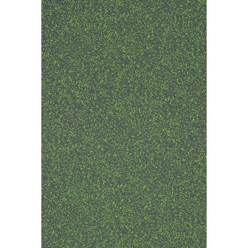 Kvadrat - Galaxy - 1306-0948