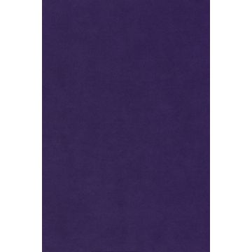 Kvadrat - Waterborn - 2128-0673