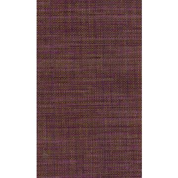 Osborne & Little - Papilio Plain 2 F5760-01