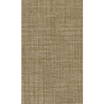 Osborne & Little - Papilio Plain 2 F5760-04