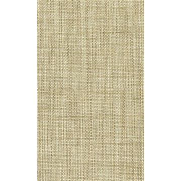 Osborne & Little - Papilio Plain 2 F5760-05