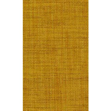 Osborne & Little - Papilio Plain 2 F5760-19
