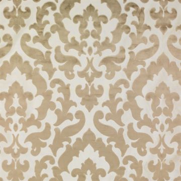 Osborne & Little - Concetti Velvet F5950-06