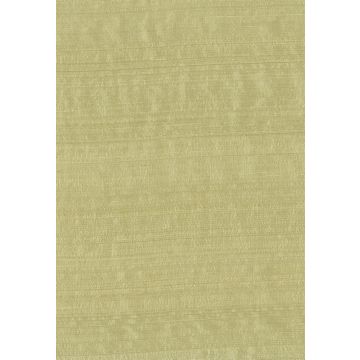 Osborne & Little - Salon Silk F5980-18