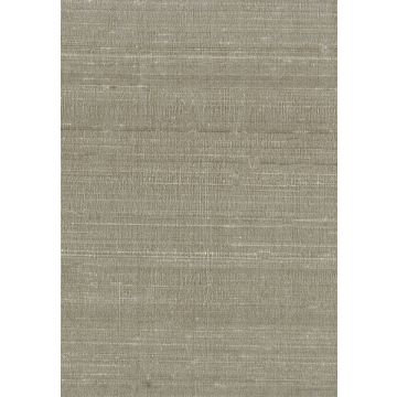 Osborne & Little - Salon Silk F5980-20