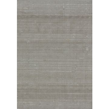 Osborne & Little - Salon Silk F5980-21