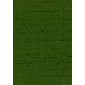 Osborne & Little - Salon Silk F5980-56