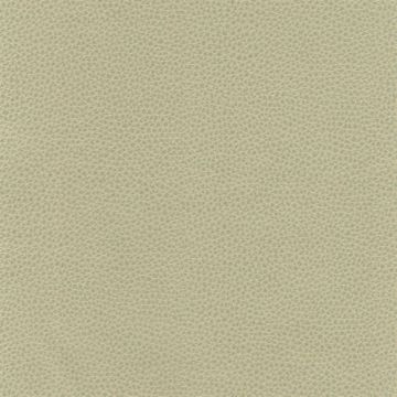 Osborne & Little - Sellier F6080-08