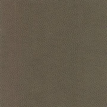 Osborne & Little - Sellier F6080-10