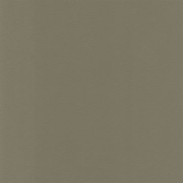 Osborne & Little - Sellier F6080-11