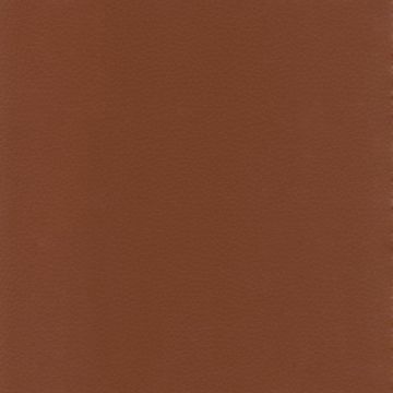 Osborne & Little - Sellier F6080-19