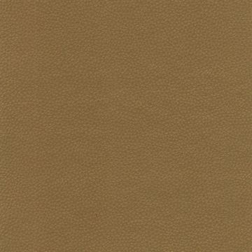 Osborne & Little - Sellier F6080-20