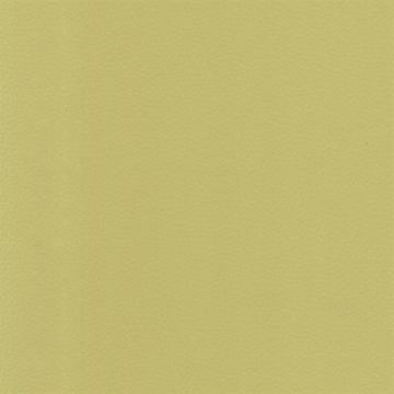 Osborne & Little - Sellier F6080-21