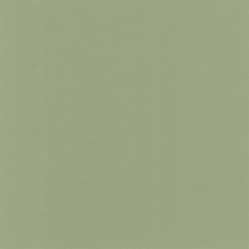 Osborne & Little - Sellier F6080-24