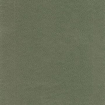 Osborne & Little - Sellier F6080-25