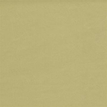 Osborne & Little - Marquisette Trevira F6150-07