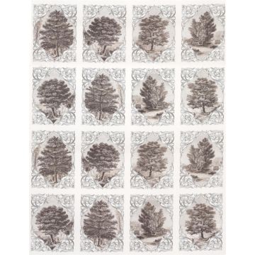 Osborne & Little - Vedute F6203-04