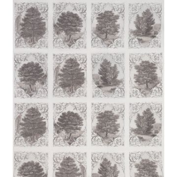 Osborne & Little - Vedute Sheer F6206-01