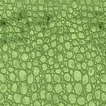 Osborne & Little - Naivasha F6270-07