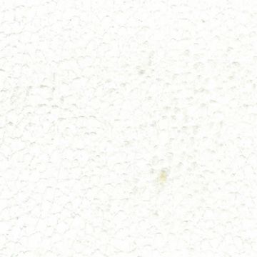 Osborne & Little - Addo F6272-04