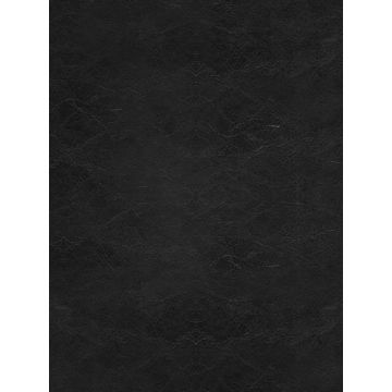 Osborne & Little - Lyceum F6280-10