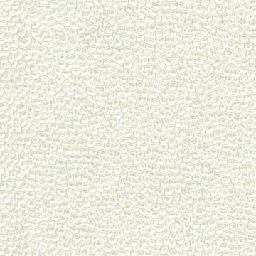 Osborne & Little - Aldwych F6281-02