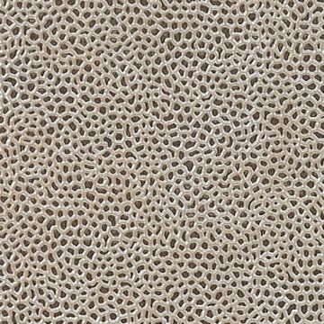 Osborne & Little - Aldwych F6281-03