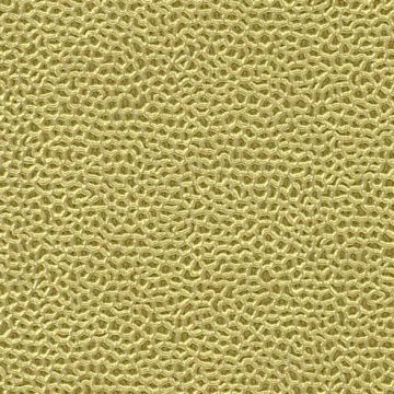 Osborne & Little - Aldwych F6281-08