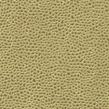 Osborne & Little - Aldwych F6281-09