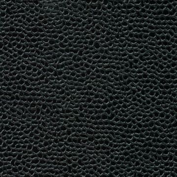 Osborne & Little - Aldwych F6281-11