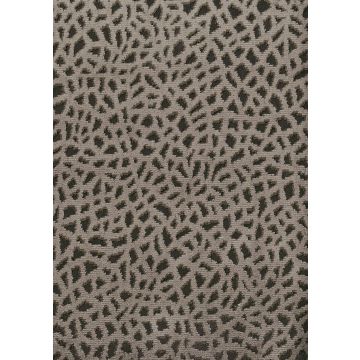 Osborne & Little - Corallo F6311-01