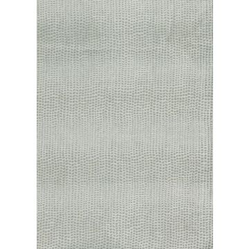 Osborne & Little - Bulla F6375-01