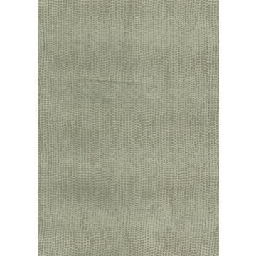 Osborne & Little - Bulla F6375-03