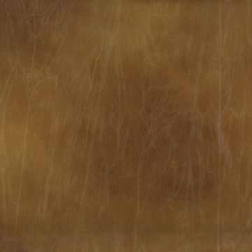 Osborne & Little - Prairie F6390-02