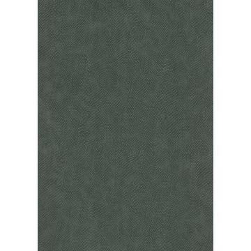 Osborne & Little - Snake Charmer F6391-05