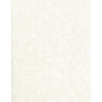 Osborne & Little - Snake Charmer F6391-08