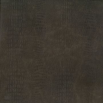 Osborne & Little - Gator F6392-01