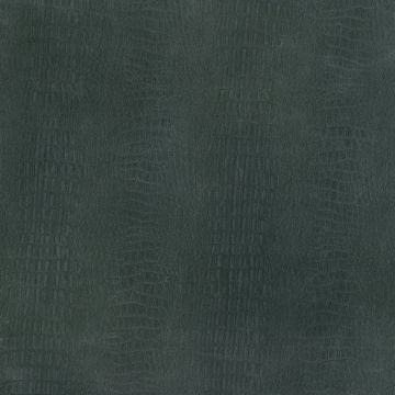 Osborne & Little - Gator F6392-07