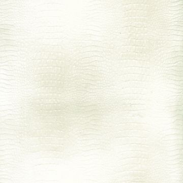 Osborne & Little - Gator F6392-08