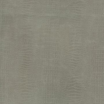 Osborne & Little - Gator F6392-09