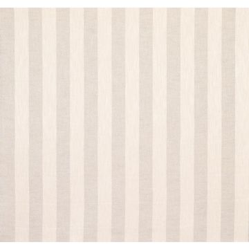 Osborne & Little - Catamaran Stripe F6414-01