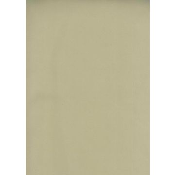 Osborne & Little - Tarva Moleskin F6421-08