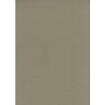 Osborne & Little - Tarva Moleskin F6421-09