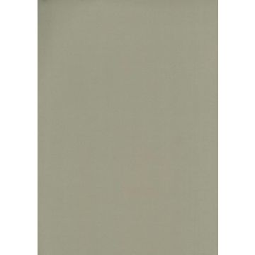 Osborne & Little - Tarva Moleskin F6421-11