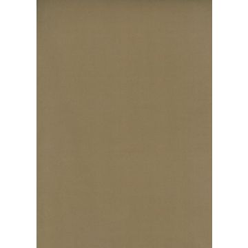 Osborne & Little - Tarva Moleskin F6421-13