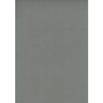 Osborne & Little - Tarva Moleskin F6421-17