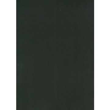 Osborne & Little - Tarva Moleskin F6421-18